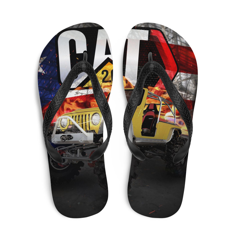 CAT 2.0 - Flip-Flops